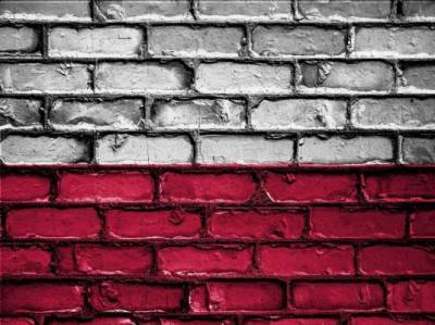 Иностранцы бурно отреагировали на устроенный поляками скандал с флагом РФ