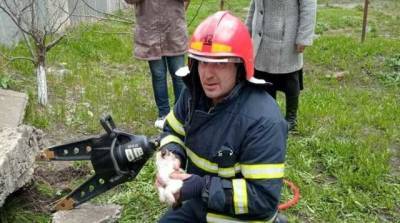 Не прошли мимо: в Харьковской области целая бригада спасателей освобождала котенка