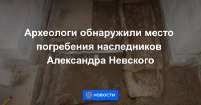 Археологи обнаружили место погребения наследников Александра Невского