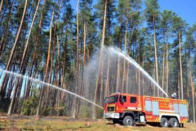 С начала года в Украине произошло более 70 лесных пожаров