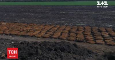 В поле Днепропетровской области обнаружили 400 противотанковых мин