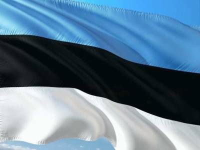LPЕ: Из-за ошибки телевидения в Эстонии появились «козьи войска»