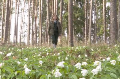 "Под наблюдением 8 тысяч гектаров леса". Как работает единственная в Дятловском районе женщина-лесничий