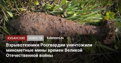 Взрывотехники Росгвардии уничтожили минометные мины времен Великой Отечественной войны