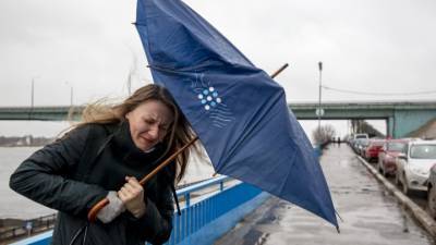 МЧС: в Ярославской области ожидается усиление ветра