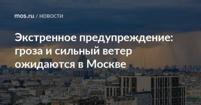 Экстренное предупреждение: гроза и сильный ветер ожидаются в Москве