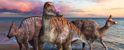 В Японии был обнаружен динозавр со сверхъестественными зубами
