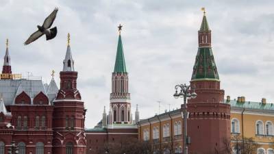 В Кремле прокомментировали сообщения о задержании адвоката Павлова