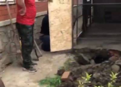 Мужчина на Кубани застрелил отца и залил его тело бетоном под собачьей будкой