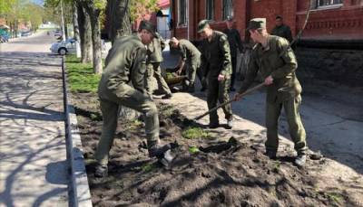 Старый газон со стадиона Ника постелили около части Нацгвардии в Александрии