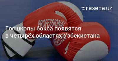 Государственные школы бокса появятся в четырёх областях Узбекистана