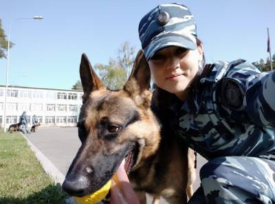 В Печоре служебная собака помогла найти похищенную водку