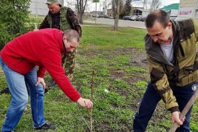 В Бондарском районе посадили почти 100 каштанов