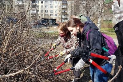 Горожане высадили дубы и клёны в парках Петрозаводска