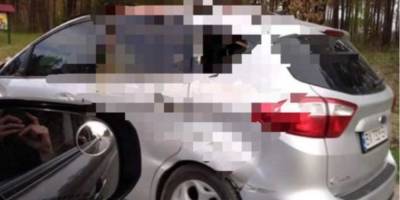 На трассе под Киевом автомобиль столкнулся с лосем, животное погибло — соцсети