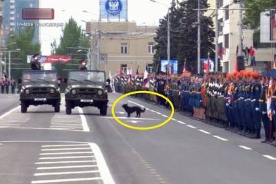Террористы «ДНР» перекроют центр Донецка