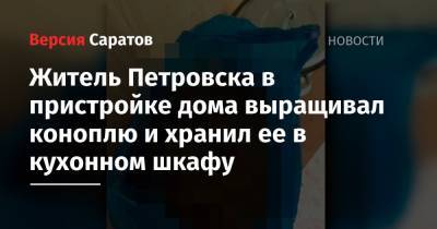 Житель Петровска в пристройке дома выращивал коноплю и хранил ее в кухонном шкафу