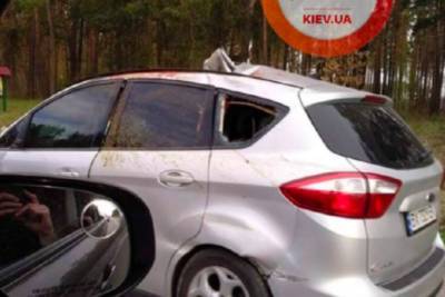 На трассе под Киевом авто на скорости влетело в лося: фото с места аварии