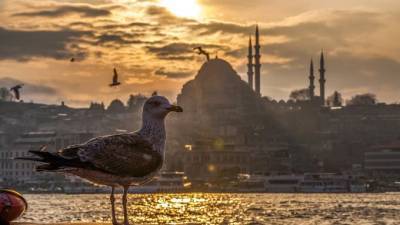 Минздрав Турции одобрил использование вакцины "Спутник V"