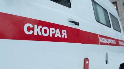 Шесть детей-баскетболистов погибли в аварии с грузовиком в Ставрополье