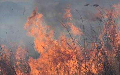 Режим ЧС введен в одном районе Тюменской области из-за природных пожаров возле сел