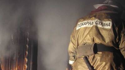 Сотрудники МЧС эвакуировали школьницу с 17-го этажа горящего дома в Екатеринбурге