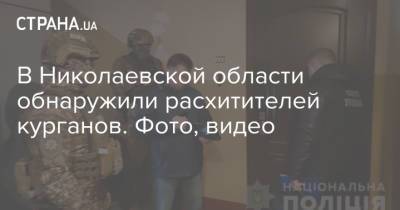 В Николаевской области обнаружили расхитителей курганов. Фото, видео
