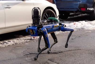 Полиция Нью-Йорка отказалась от использования робота Spot под давлением общественного мнения