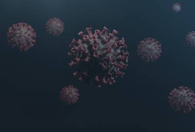 За сутки 85 человек заболели коронавирусом в 16 районах Ленобласти