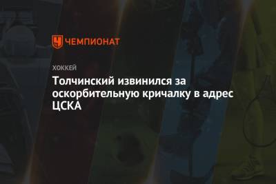 Толчинский извинился за оскорбительную кричалку в адрес ЦСКА