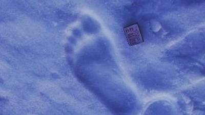 Снежный человек? Следы загадочного существа обнаружены на Ямале