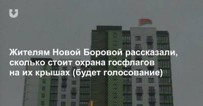 Жителям Новой Боровой рассказали, сколько стоит охрана госфлагов на их крышах (будет голосование)