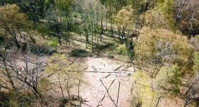 В Пуще-Водице небывалая вырубка вековых деревьев ради очередной застройки