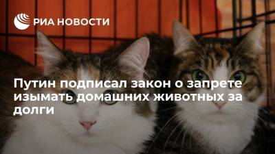 Путин подписал закон о запрете изымать домашних животных за долги