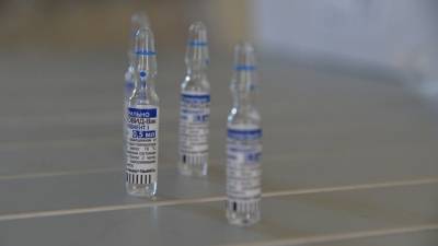 В Турции одобрили российскую вакцину «Спутник V»