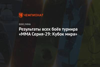 Результаты всех боёв турнира «ММА Серия-29: Кубок мира»
