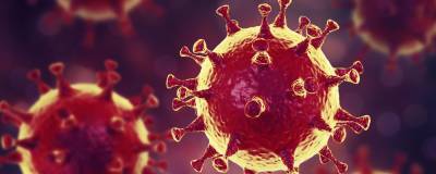 Ученые обнаружили новые уязвимые места коронавируса
