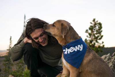 Вам это точно знакомо: 10 способов, как собаки проявляют свою любовь к вам - 24tv.ua