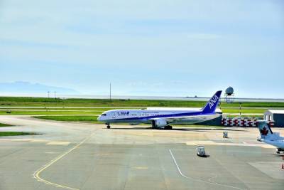 В Красноярске экстренно сел летевший из Японии Boeing-787
