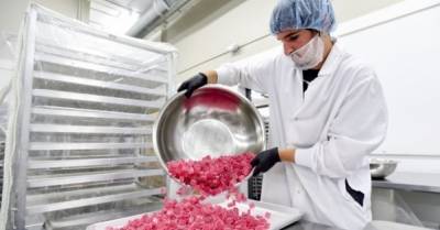 В США начали производить кошерный каннабис: в виде жевательных конфет (ФОТО)