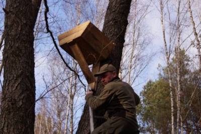 У Чорнобильському заповіднику встановили спеціальні конструкції для допомоги птахам (ФОТО)