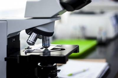 Эксперт спрогнозировал рост сектора биотехнологий после пандемии