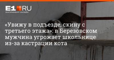 «Увижу в подъезде, скину с третьего этажа»: в Березовском мужчина угрожает школьнице из-за кастрации кота