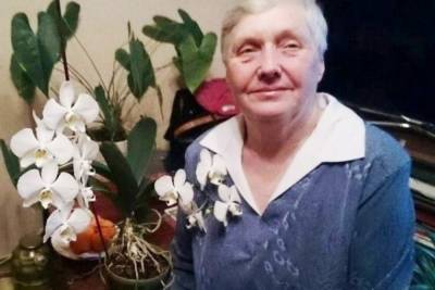 В Псковской области продолжают искать пропавшую пожилую женщину