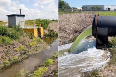 Во Флориде объявили чрезвычайное положение из-за утечки токсичных сточных вод