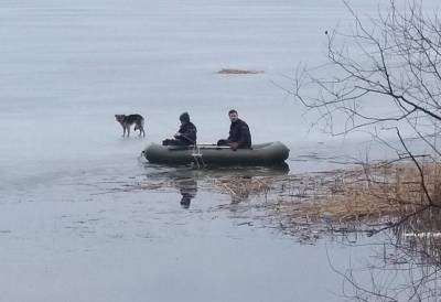 Невероятное спасение: собака неделю провела на льду и чуть не утонула