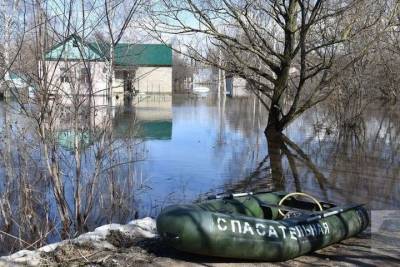 В Ряжском районе Рязанской области подтопило 64 дома