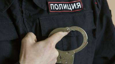 Полиция задержала 11 человек за препятствие следствию в Хамовниках