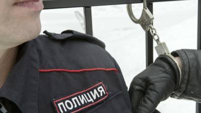 Полицейский задержали 11 человек за попытку проникновения в кабинет следователя в Москве