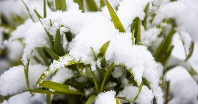 Ветер и дождь со снегом: синоптики рассказали о погоде 5 апреля в Калининграде